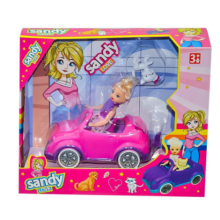 Sandy Kutulu Araba NZM-115