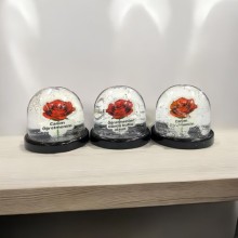 Hediyelik Öğretmenler Günü Büyük boy Küre 12'li Paket 